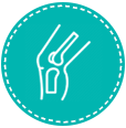 Orthopaedic